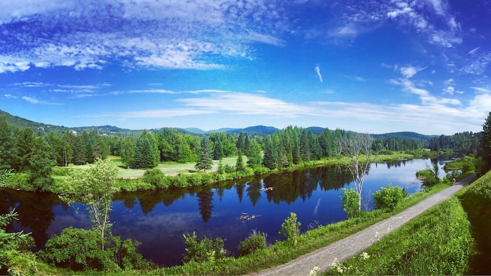 Biking the Train du Nord trail in Ste. Adele.
It runs for 200 kilometres (124 miles) between Saint-Jérôme and Mont-Laurier and is used for biking, cross-country skiing and hiking.
The Parc Linéaire Le P'tit Train du Nord is a multi-use recreational rail trail located in Quebec. It originally was a railway track operated by Canadian Pacific Railway, Inc., which reportedly operated it at a continuous financial loss ever since its construction in the 1890s, before dismantling it during the 1990s to make way for today's beautiful recreational trail—save for the portion between Montréal and Saint-Jérôme which is still in service.
#Green