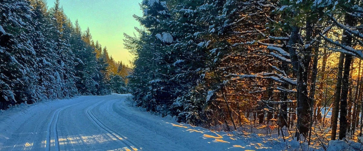 A snow-covered road with tire tracks and trees on both sides.