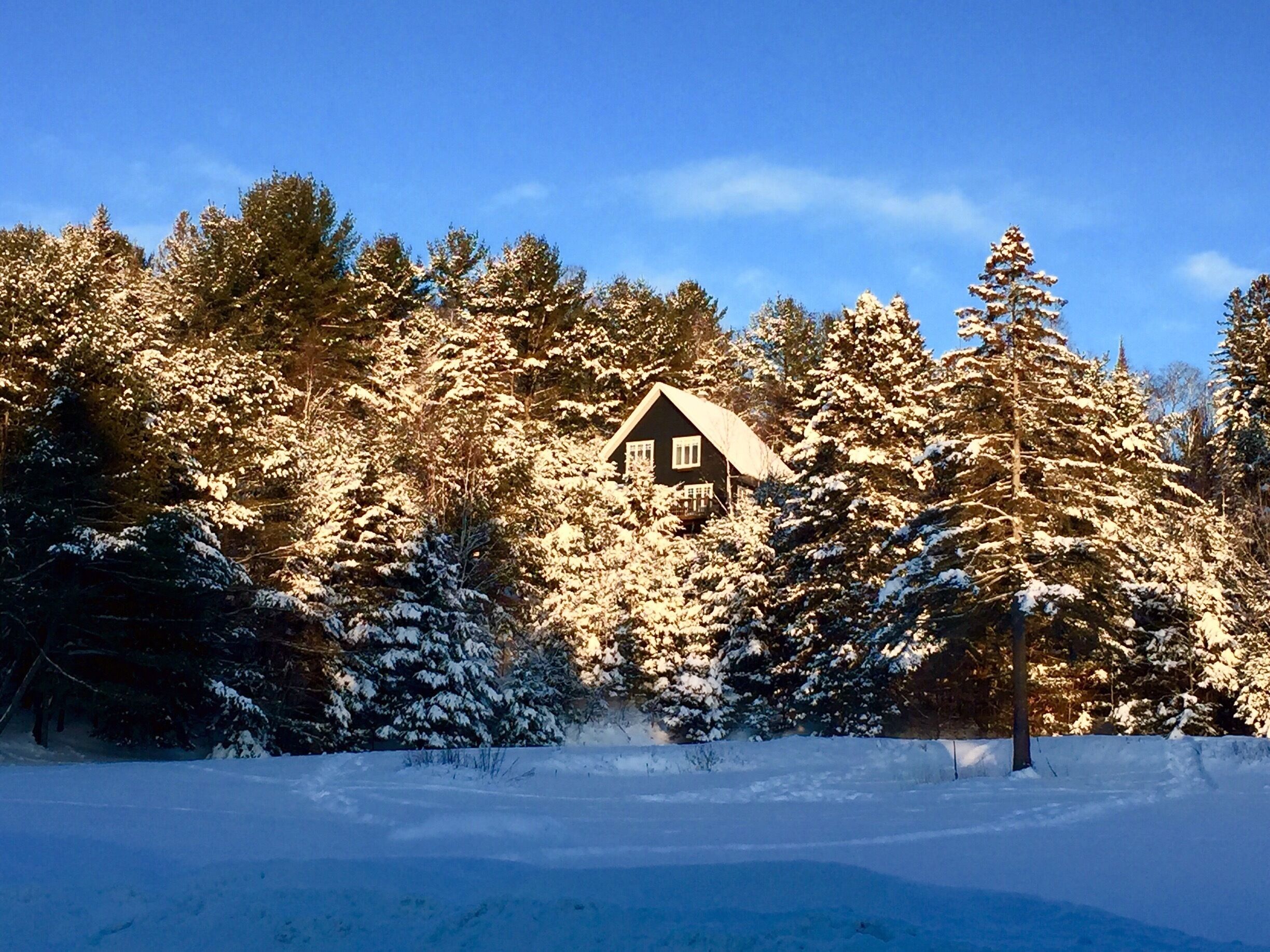 Blue crisp skies on a beautiful but COLD winter morning. 