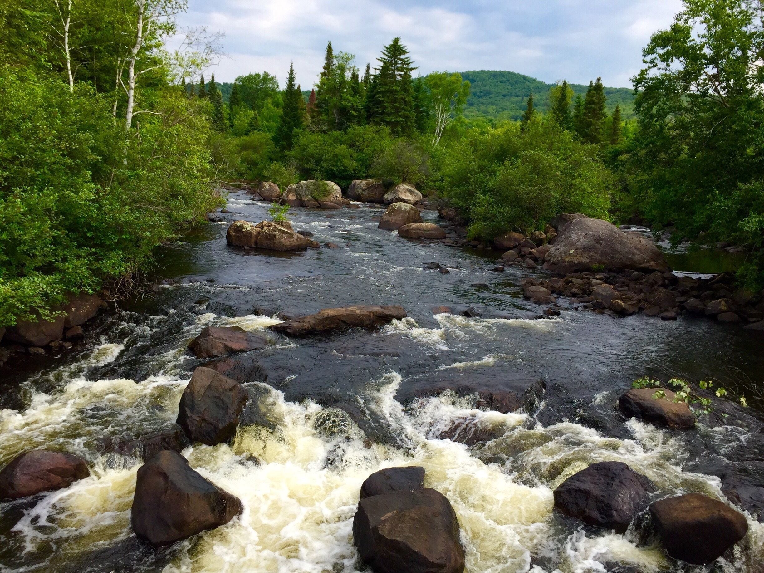 Seen along the Petit Train Du Nord bike trail in Ste Agathe 