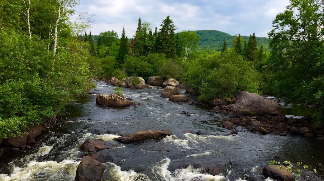 Seen along the Petit Train Du Nord bike trail in Ste Agathe