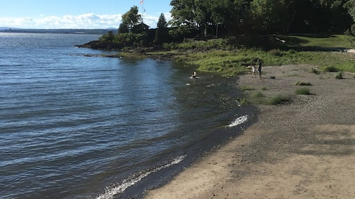 Sainte-Petronille is probably my favorite village on Ile d’Orléans
#BeachTips