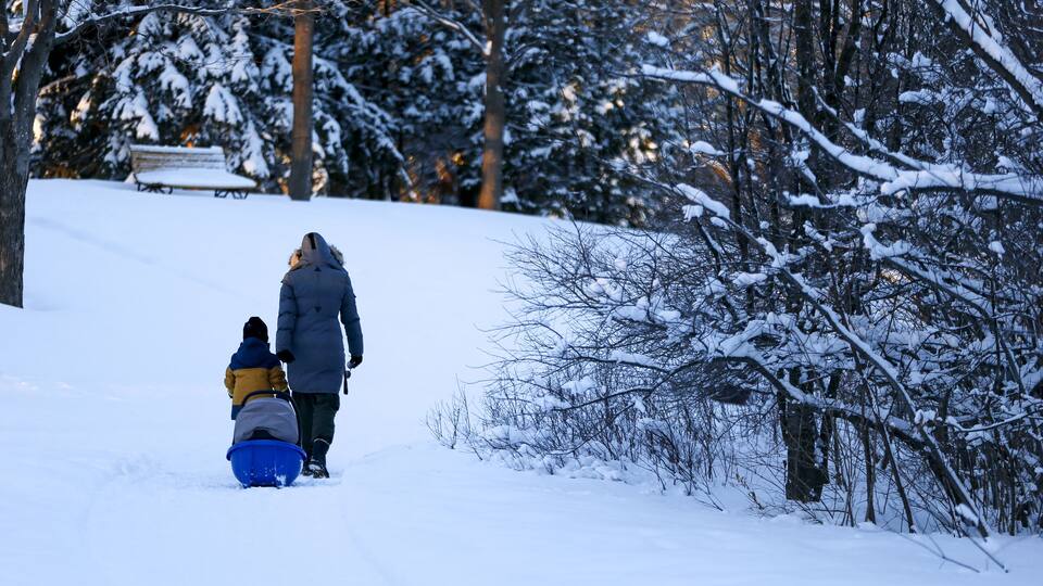 A snowy park with a person walking and a child sledding.