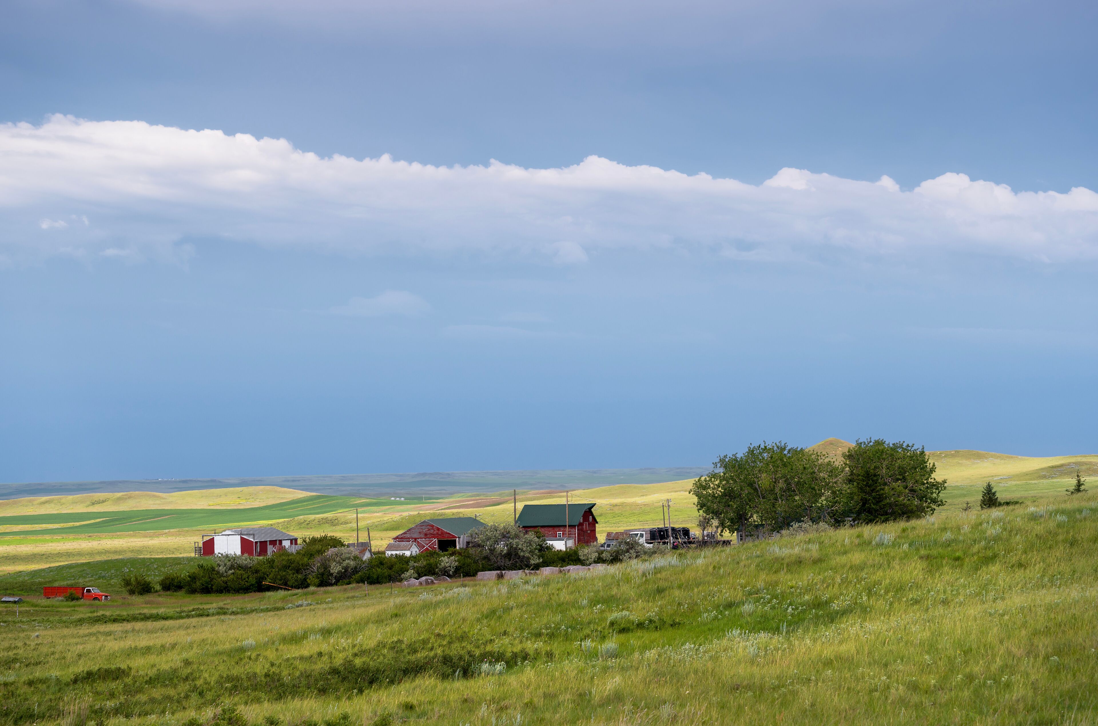 Farm buildings and agricultural fields on the prairie near the town of Assiniboia, Saskatchewan, Canada