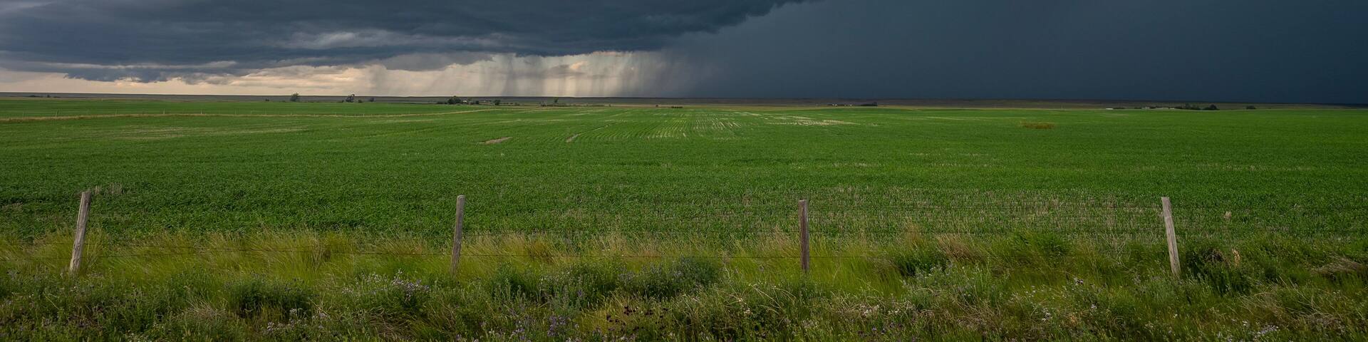 Thunderstorm over the prairie near Assiniboia, Saskatchewan, Canada
