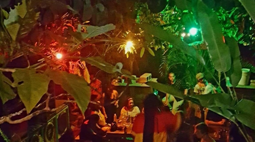 Hidden in the mountains just 20 minutes from Kingston, every Sunday you find Dubclub, one of the best music venues I experienced in Jamaica