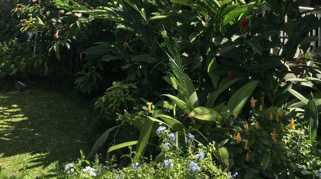 Devon House is my favorite spot in Kingston. It was a nice spot to spend a relaxing Sunday afternoon.