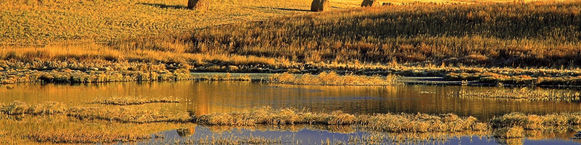 Hay Bales in Field at Sunrise, Near Estevan, Saskatchewan, Canada
