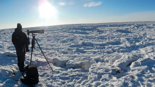 A PHOTOGRAPHER WAITING FOR POLAR BEAR AT FROZEN HUDSON BAY, MANITOBA, CANADA