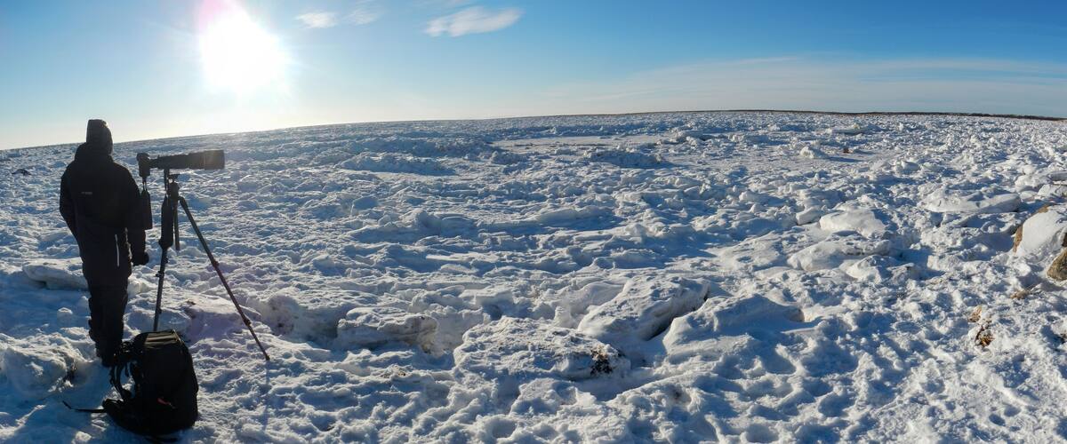 A PHOTOGRAPHER WAITING FOR POLAR BEAR AT FROZEN HUDSON BAY, MANITOBA, CANADA