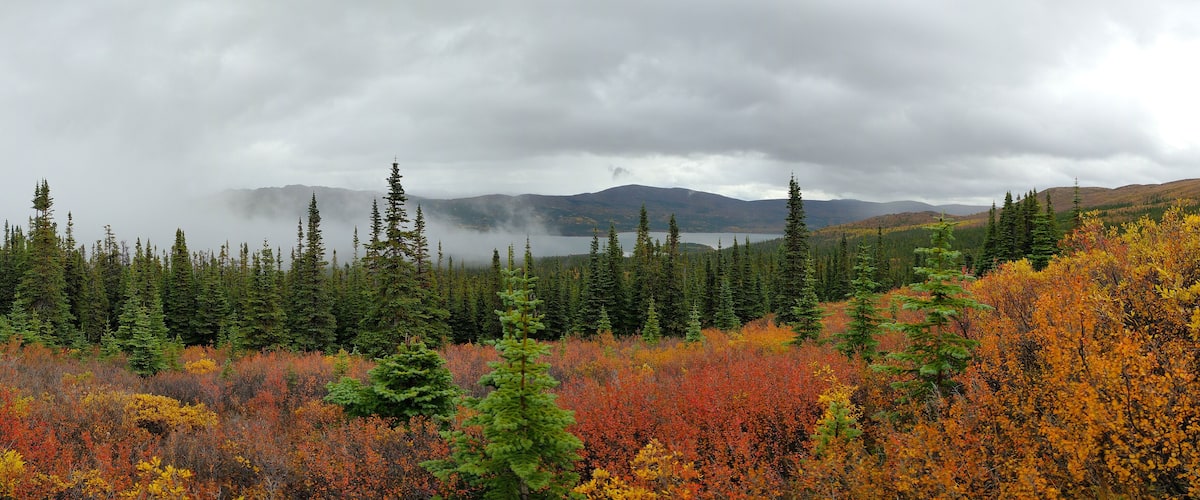 A forest with autumn foliage, a lake, and mountains in the background.