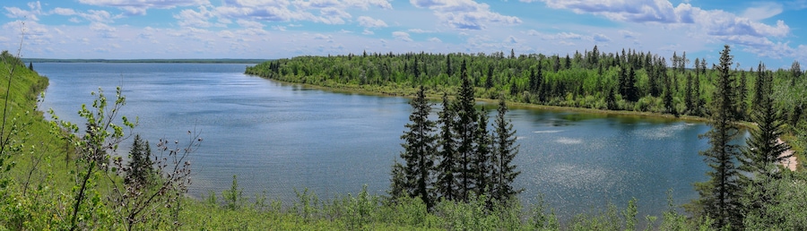 A calm river surrounded by dense forests and a clear sky.