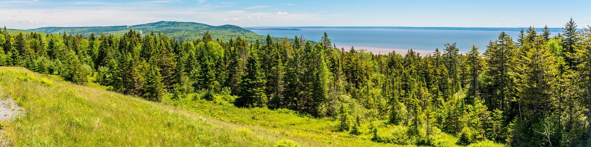 Panoramic view from the outlook near Bay of Fundy in Canada