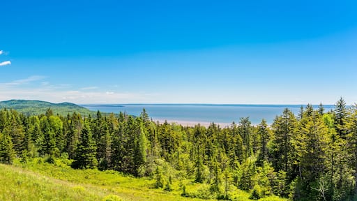Panoramic view from the outlook near Bay of Fundy in Canada