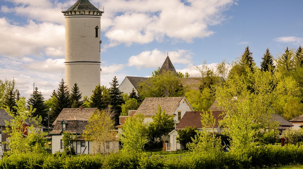 old town with a white tower