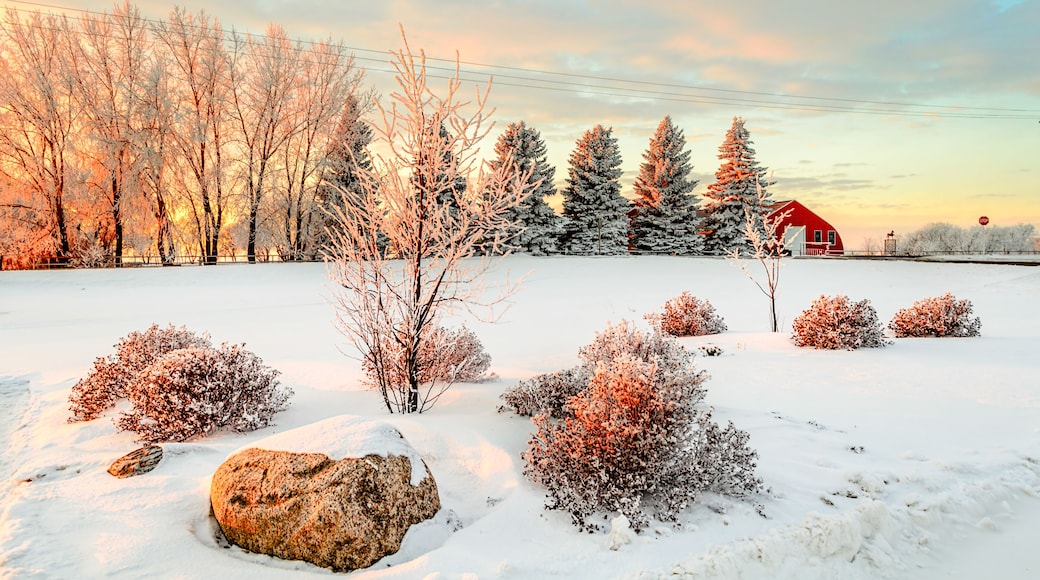 Winter sunset near the red barn