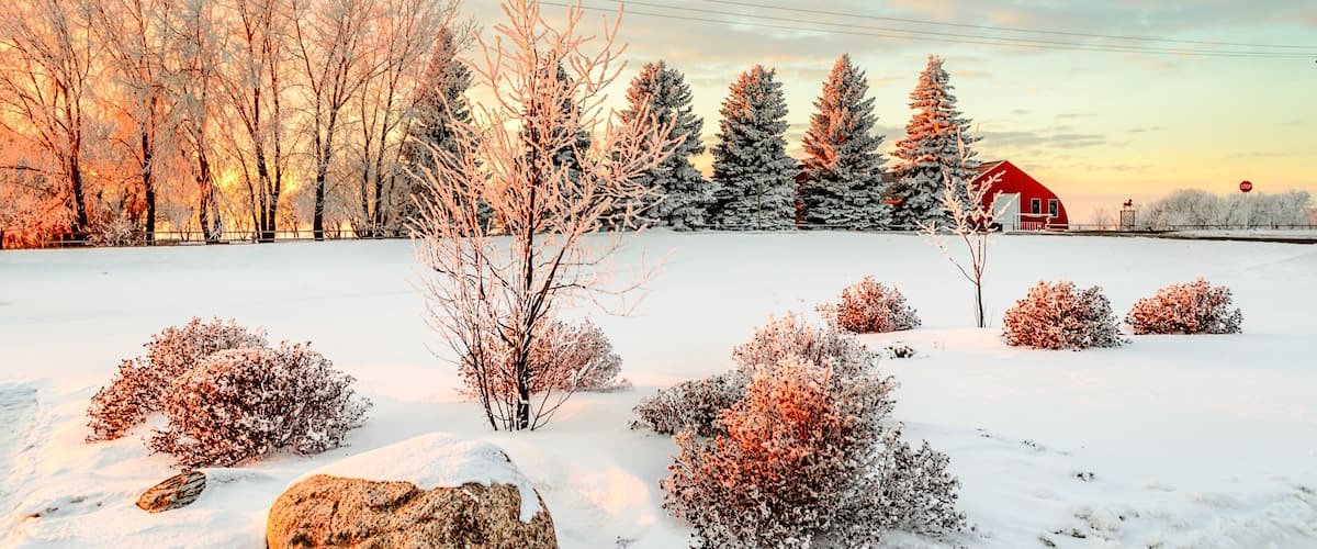 A snowy landscape with a red barn, leafless trees, and a clear sky.