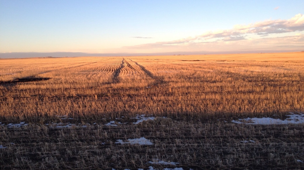 Early winter on the prairies.