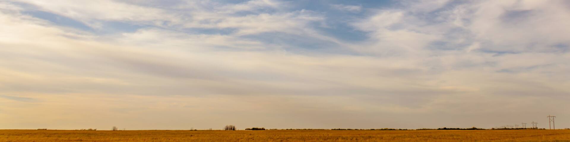 Blue sky with white, fluffy, tender cirrus clouds, yellow field, green grass, trees in the summer noon