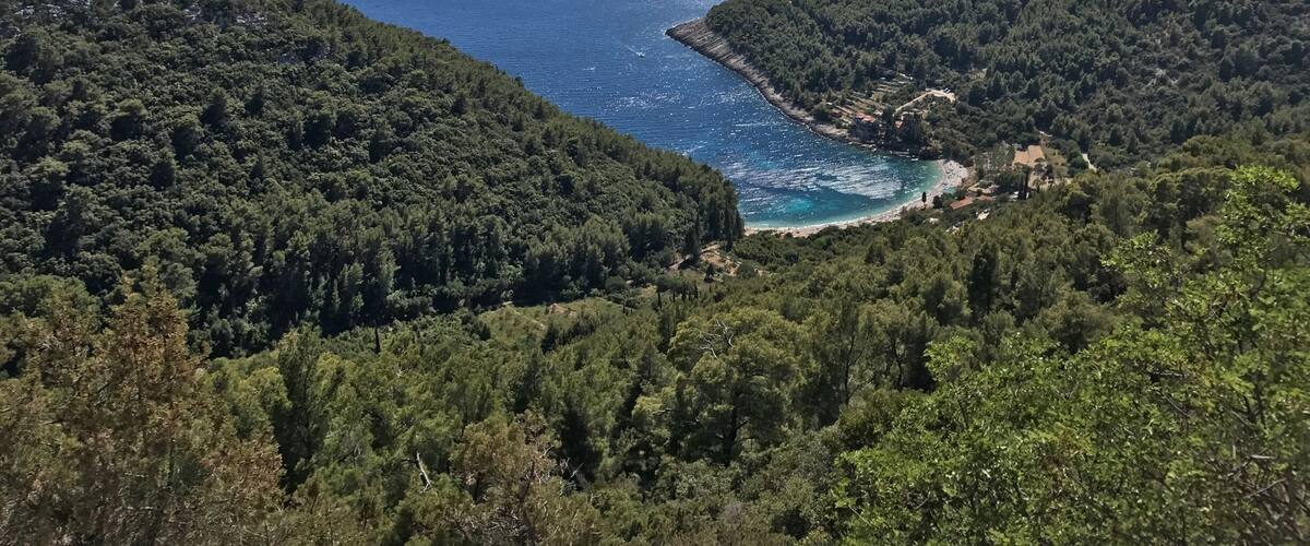 A coastal landscape with dense forests, a clear blue sea, and distant mountains.