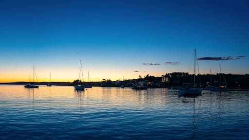 Panorama view of Yachts moored on buoys near the shore in the bay of Uvala Gradina near the town of Vela Luka on the island of Korcula at night time in Croatia