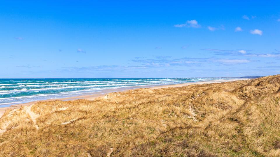 A beach with waves, sandy shore, and grassy dunes under a clear sky.