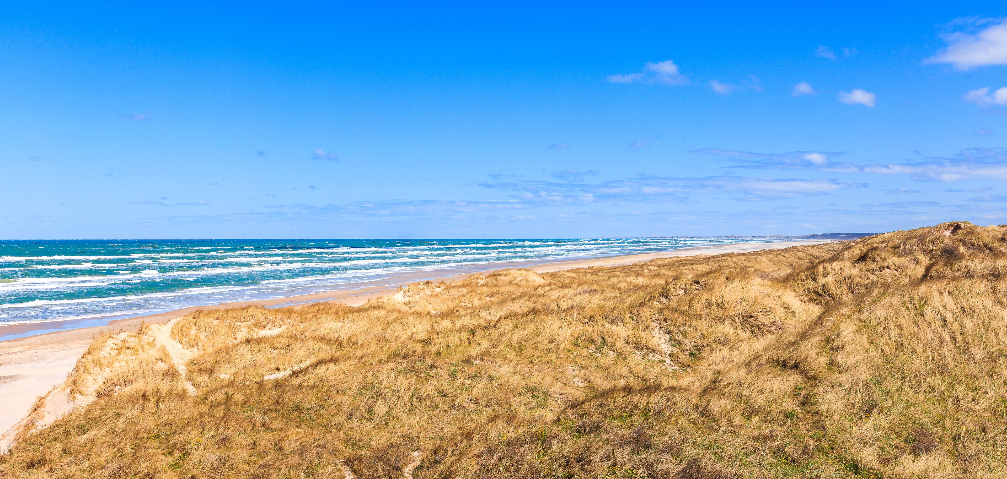 A beach with waves, sandy shore, and grassy dunes under a clear sky.