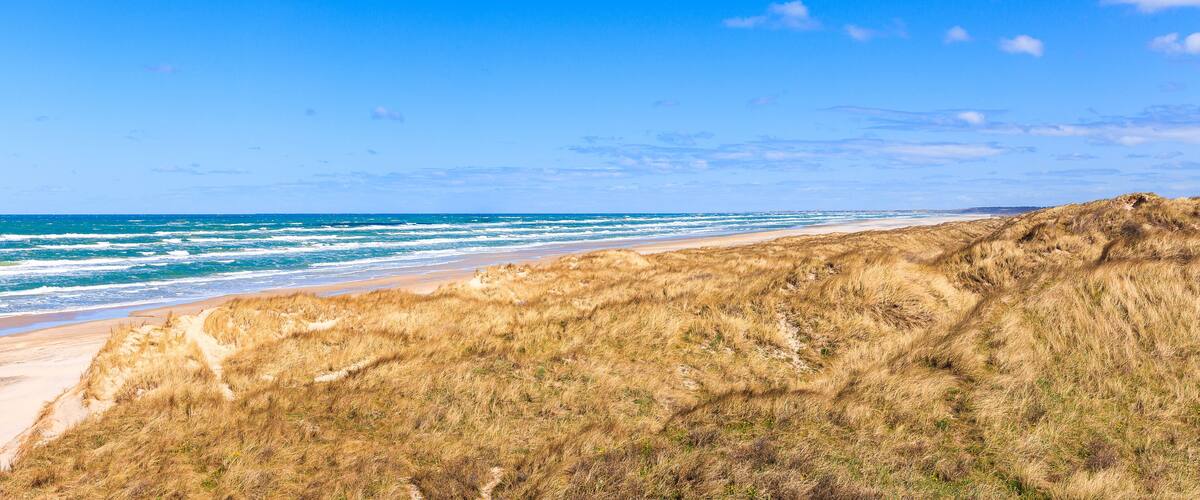 A beach with waves, sandy shore, and grassy dunes under a clear sky.