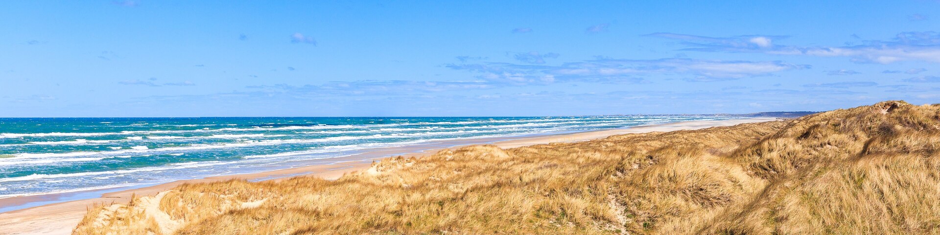 A beach with waves, sandy shore, and grassy dunes under a clear sky.