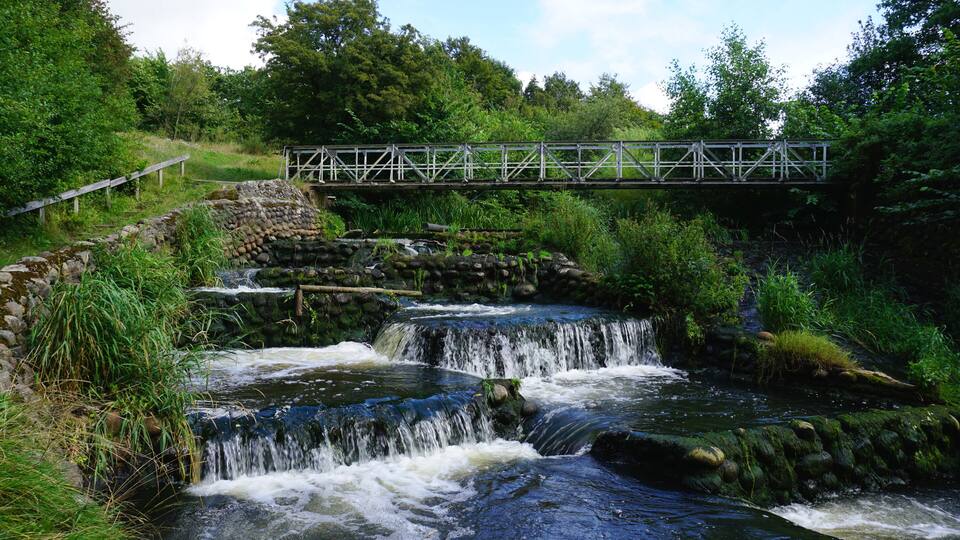 A small waterfall, a stone bridge, and lush greenery.