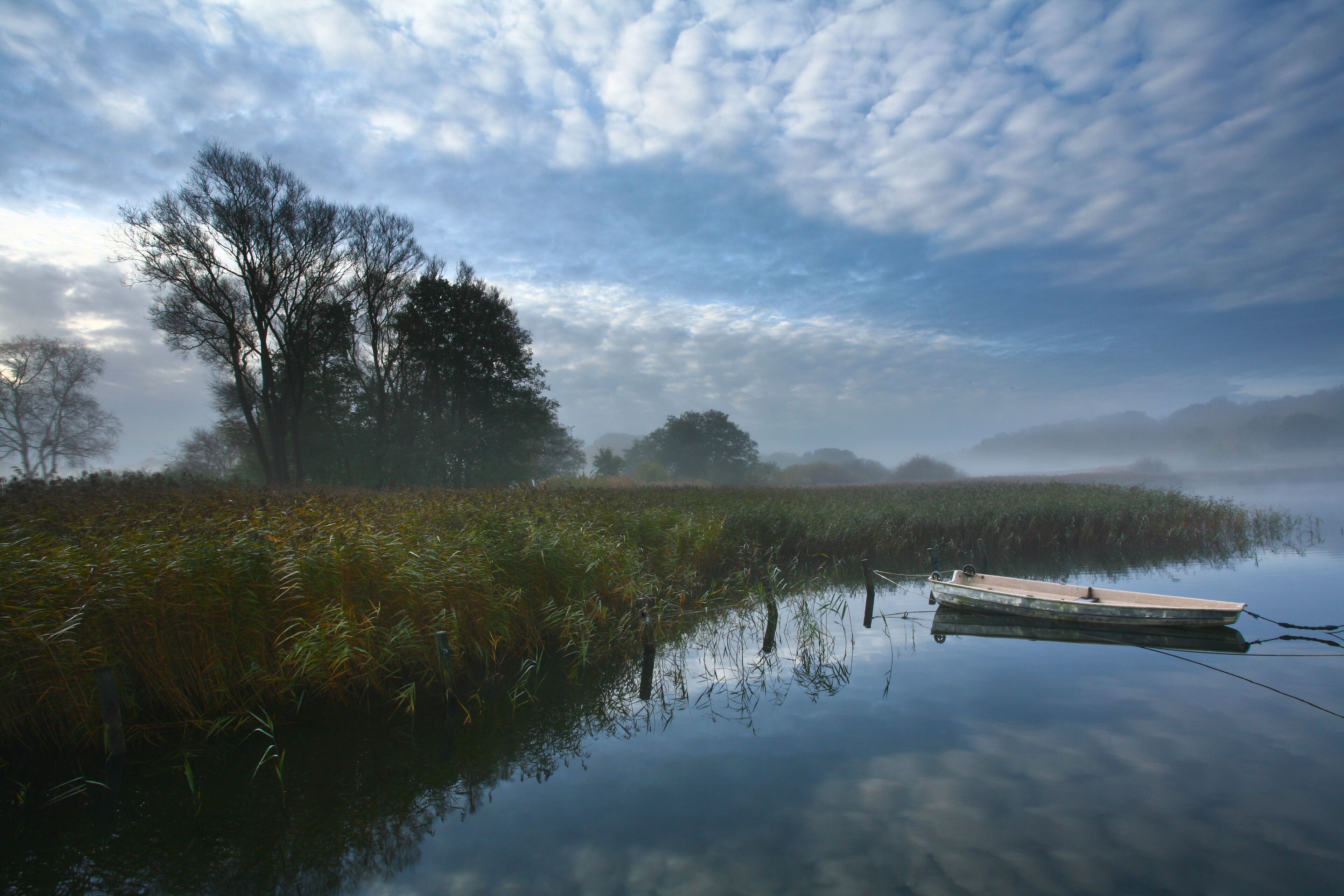 A calm river with a small boat anchored near the shore, surrounded by reeds and trees under a cloudy sky.