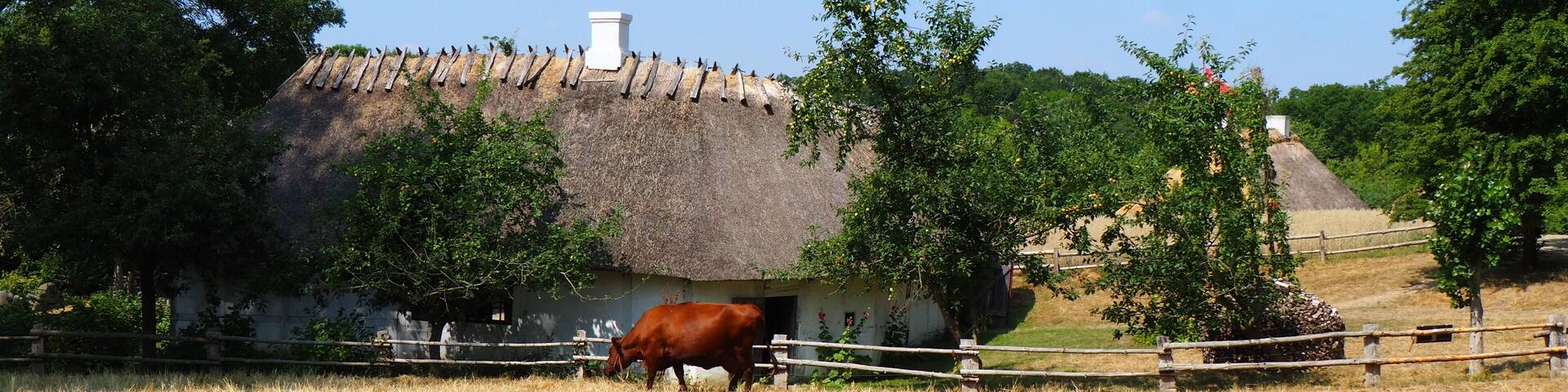 A thatched-roof house with a cow in a field.