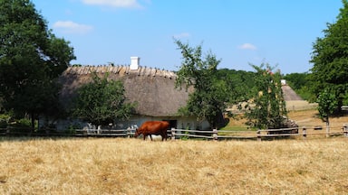 Casa con techo de paja y una vaca en un campo.