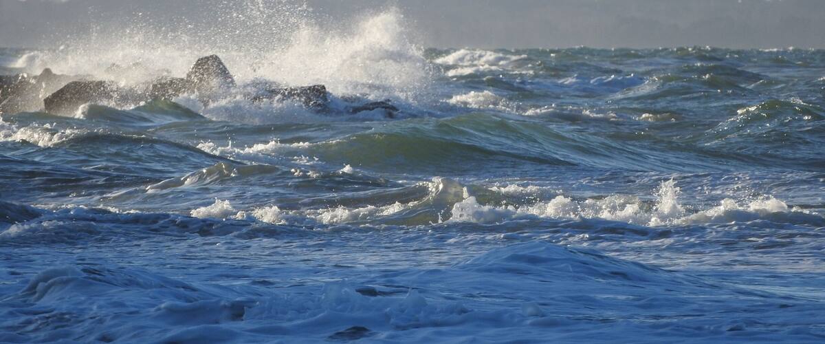 A person kite surfing over rough ocean waves with a forest in the background.