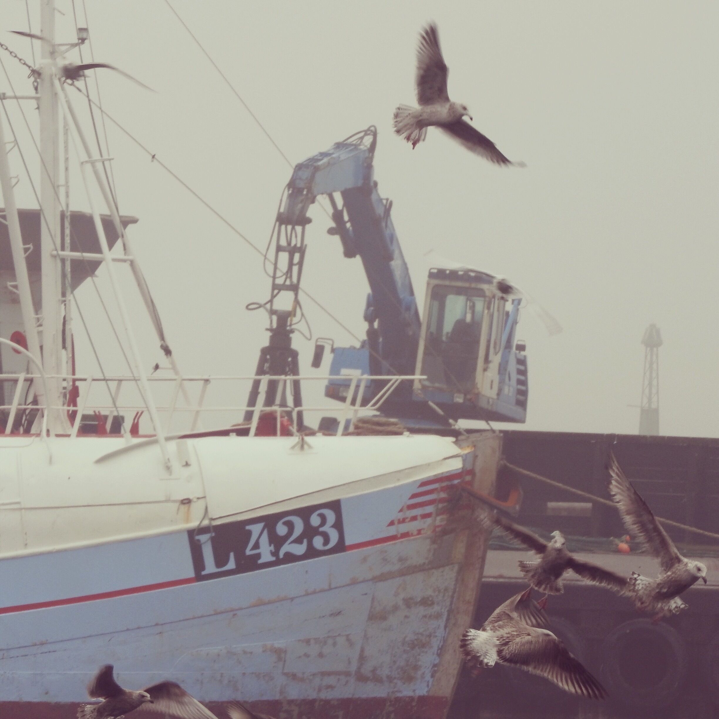 Small harbour on the Nordh Coast of Själland, Denmark