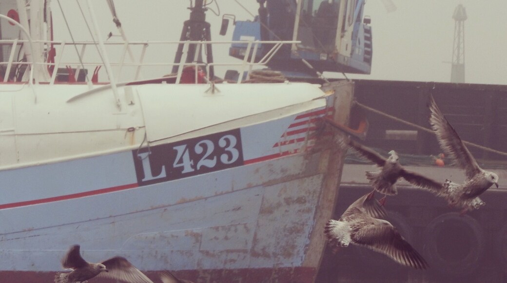 Small harbour on the Nordh Coast of Själland, Denmark