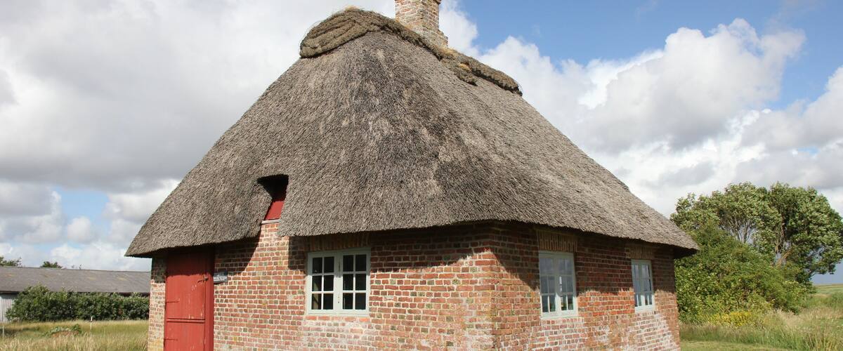 A thatched-roof house with a red door and brick walls.