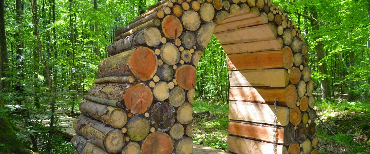 A wooden arch bridge made of logs in a forest.