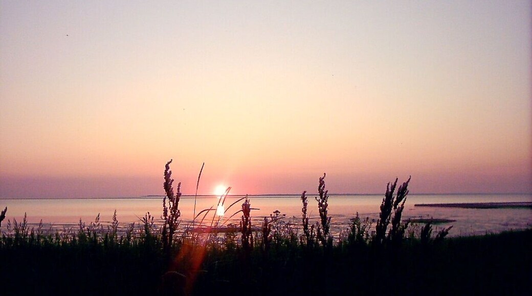 Solnegang over Rømø