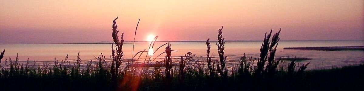 Solnegang over Rømø