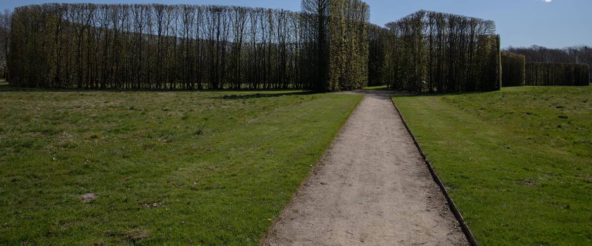 A dirt path leading through a park with neatly trimmed hedges and a clear blue sky.