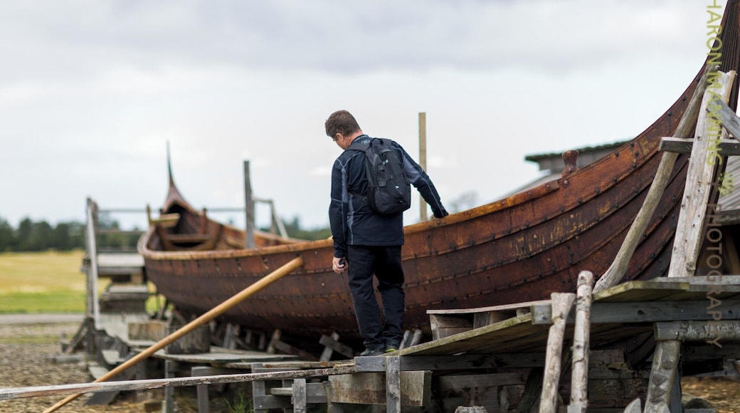 Here you can visit an original unearthed viking ship which used to contain a Viking Warrior and his horses and several dogs as sacrificed gifts to the gods. Pilfered years ago very little of the remains are still in tact and are barely visible. Local craftsman are also creating a replica of the ship using ancient methods and you can watch their progress closely.
http://en.vikingemuseetladby.dk/