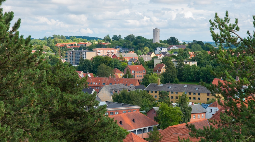 Town of Naestved in Denmark
