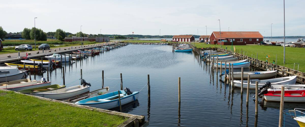 A marina with several boats docked along a pier.