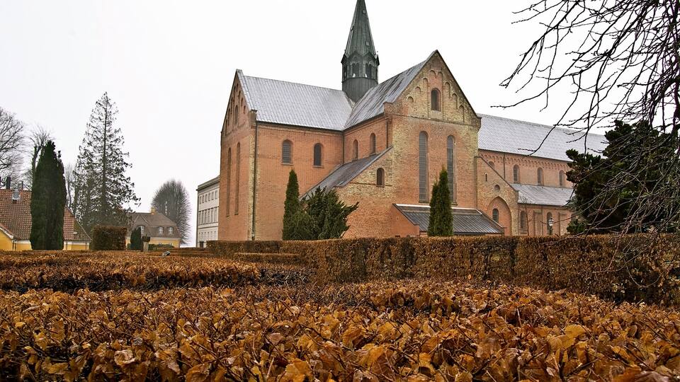 A church with a tall spire and brick walls, surrounded by a field of autumn leaves.