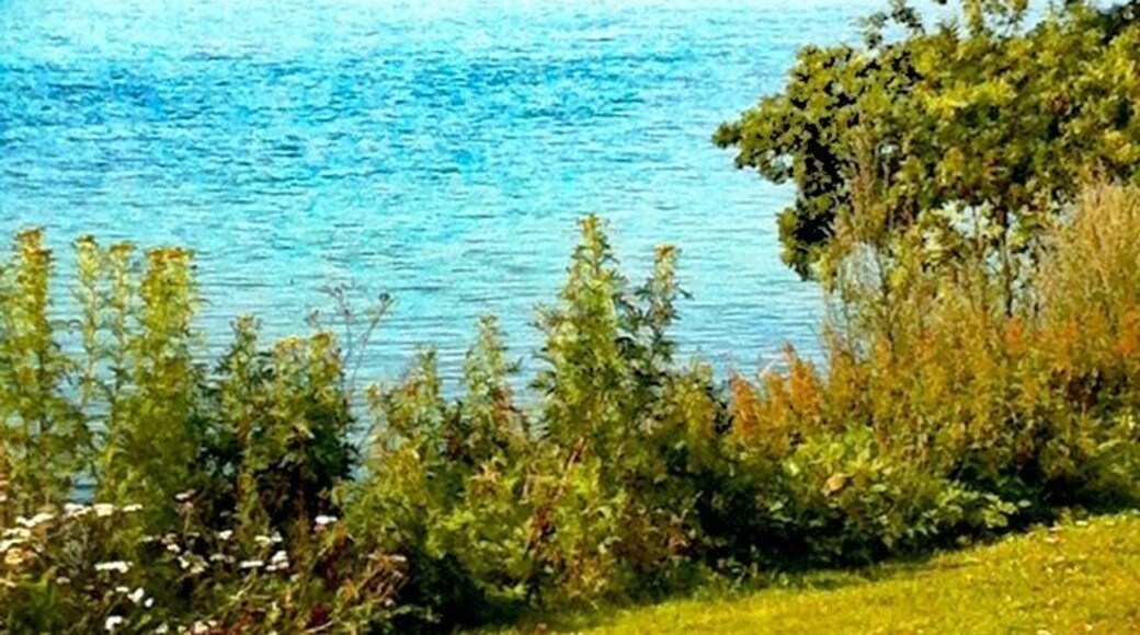 Nice view of Svensborgsund from the best hotel in the world, Christiansminde. The hotel has a super nice staff and it's within walking distance from a nice long sandy beach and a nice and cozy little town with good shopping and good food.