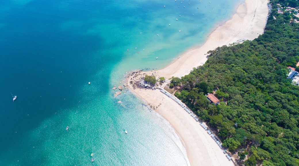 Noirmoutier-en-l'Ile