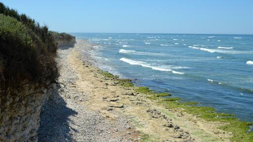 plage de chassiron