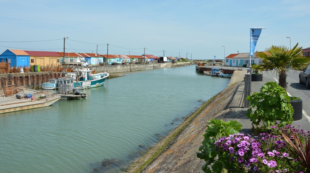 The harbour of Saint-Trojan-les-Bains, France.