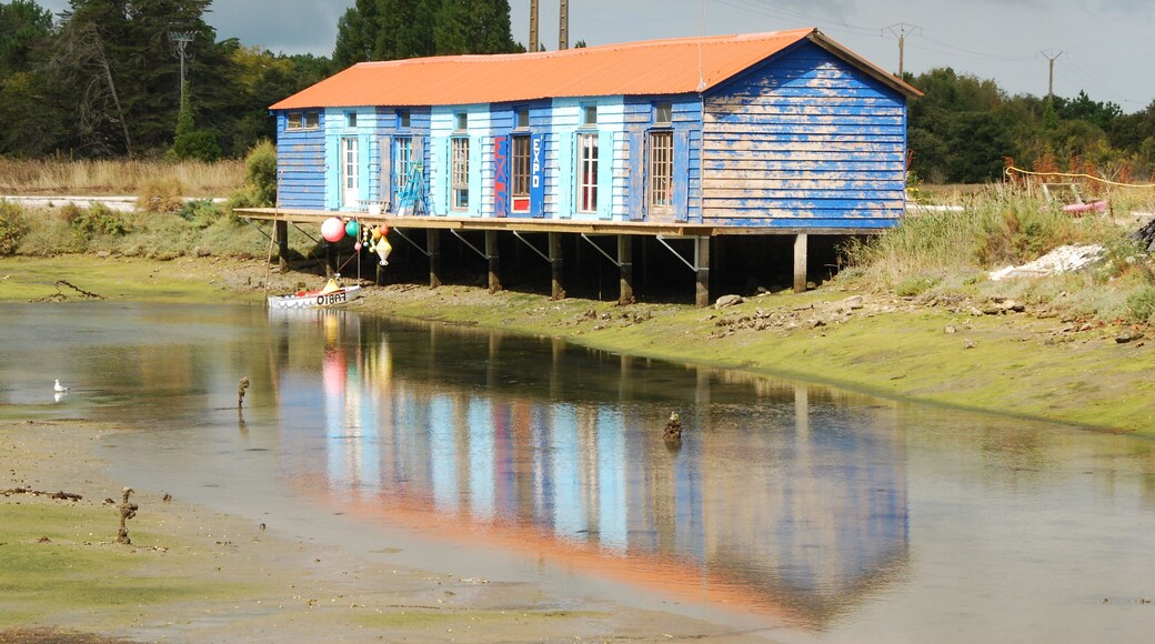 Vue de l'île d'Oléron.